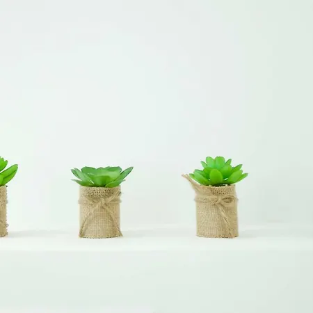 Nuiteejour Centre アパート *